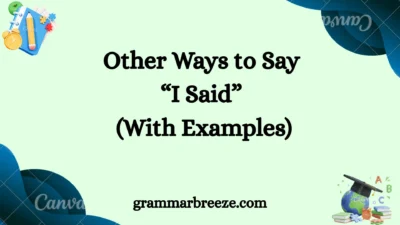 Other Ways to Say “I Said” (With Examples)