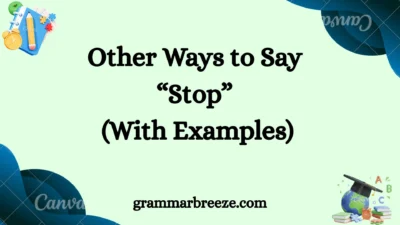 Other Ways to Say “Stop” (With Examples)