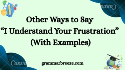 Other Ways to Say “I Understand Your Frustration” (With Examples)