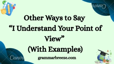 Other Ways to Say “I Understand Your Point of View” (With Examples)