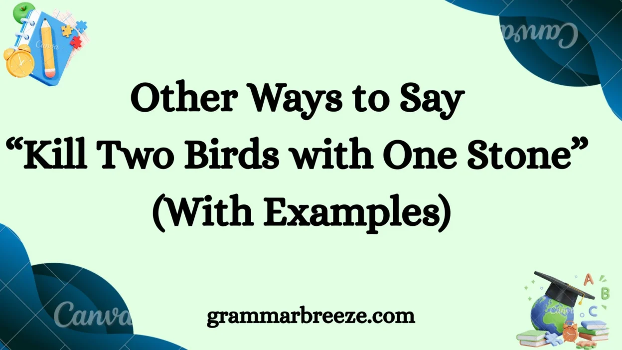 Other Ways to Say “Kill Two Birds with One Stone” (With Examples)