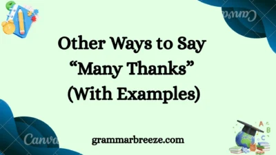 Other Ways to Say “Many Thanks” (With Examples)