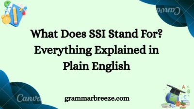 What Does SSI Stand For? Everything Explained in Plain English