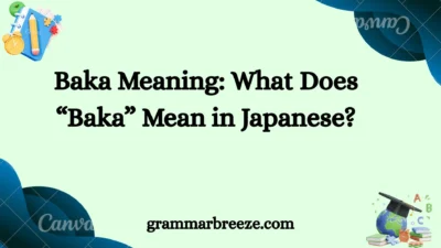 Baka Meaning: What Does “Baka” Mean in Japanese?