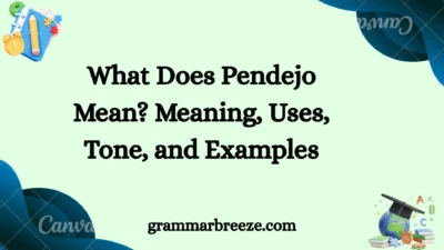 What Does Pendejo Mean? Meaning, Uses, Tone, and Examples